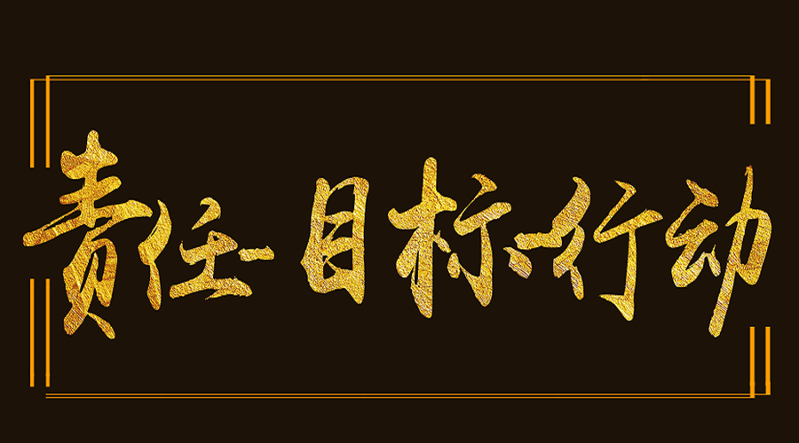20170823132031111 责任-指标-行动